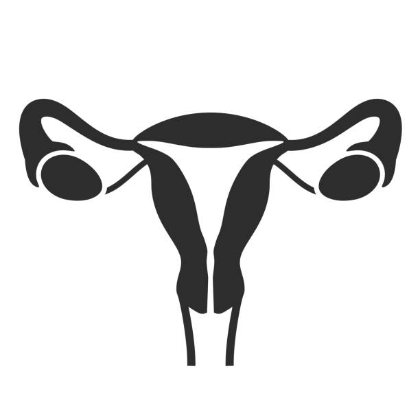 Cervical & Gynaecological Cancer Specialist in Pondicherry - KCC